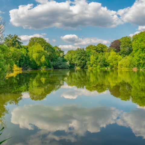 Potomac Lake