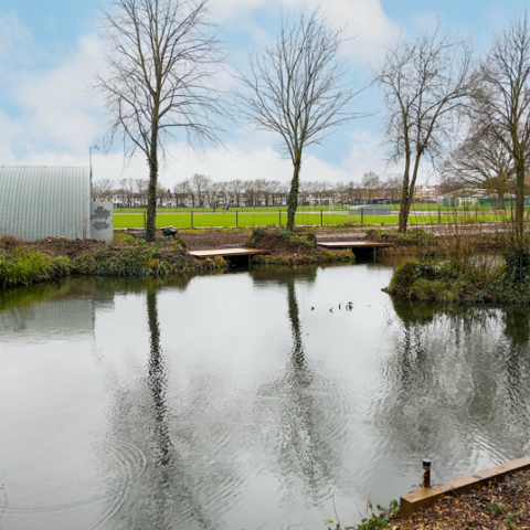 The Copse Pool, Barnes