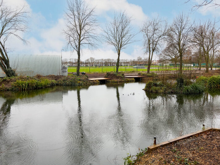 The Copse Pool, Barnes